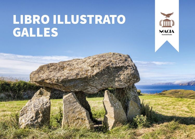 Produktbild: Libro illustrato Galles