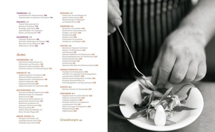 Produktbild: So schmecken Wildpflanzen
