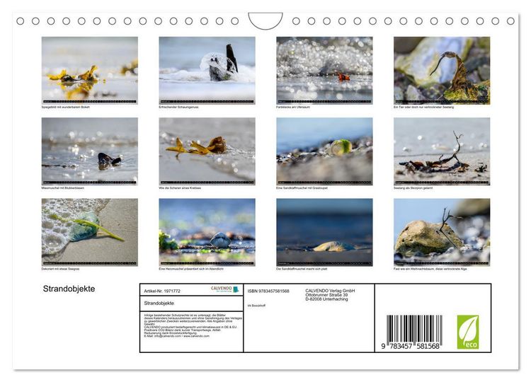 Produktbild: Strandobjekte (Wandkalender 2026 DIN A4 quer), CALVENDO Monatskalender