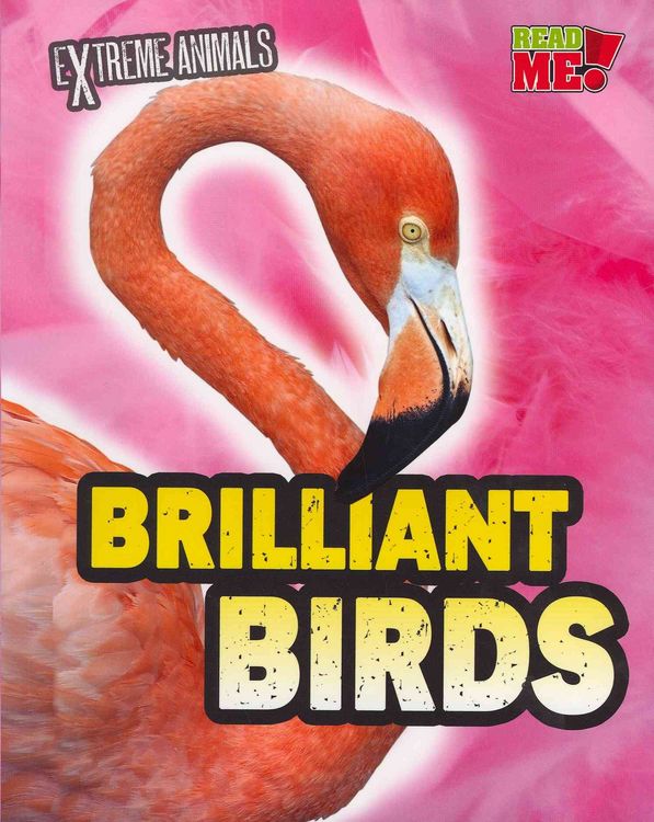 Produktbild: Brilliant Birds