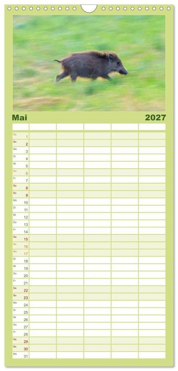 Produktbild: Familienplaner 2027 - Wildschweine &ndash; Wildlife Fotografien mit 5 Spalten (Wandkalender, 21 x 45 cm) CALVENDO