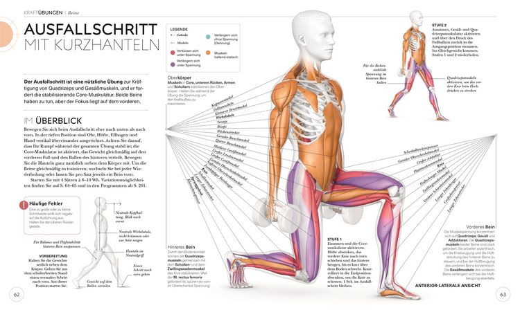 Produktbild: Krafttraining &ndash; Die Anatomie verstehen
