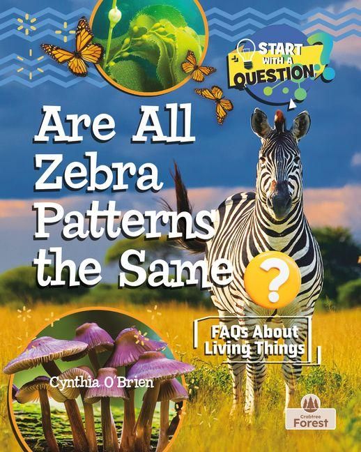 Produktbild: Are All Zebra Patterns the Same?