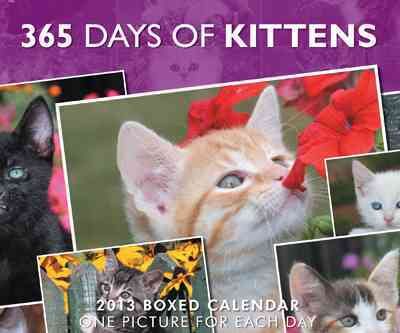 Produktbild: I Love Kittens 2013 Calendar