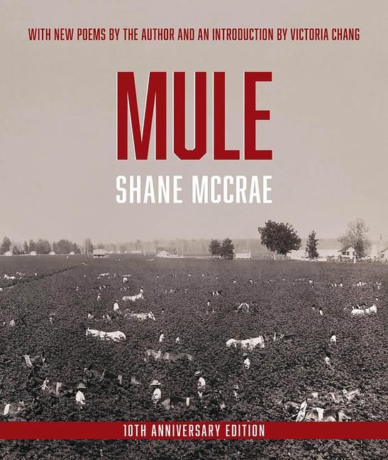 Produktbild: Mule