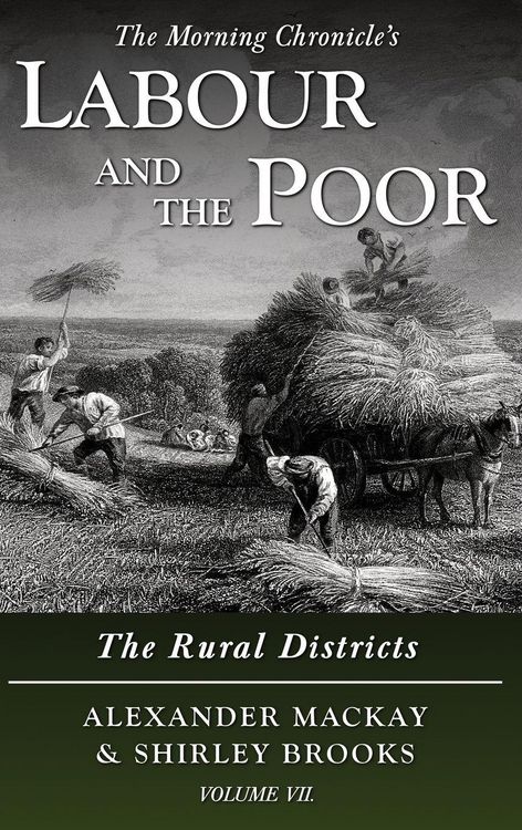Produktbild: Labour and the Poor Volume VII