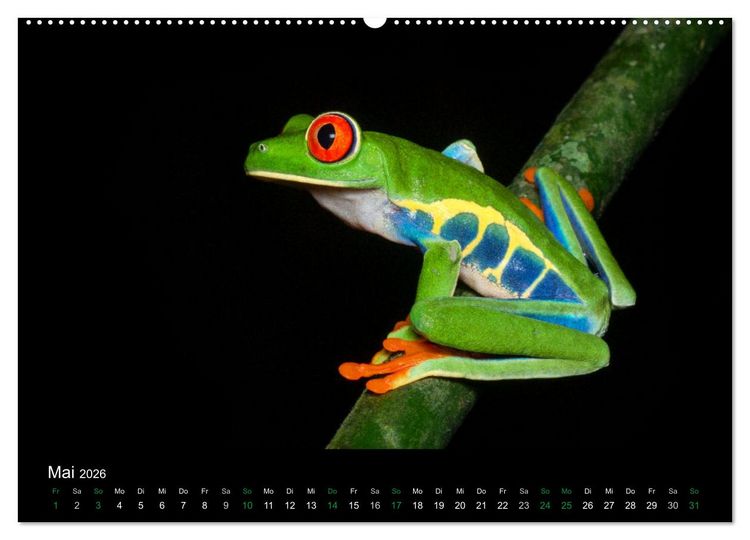 Produktbild: Costa Rica - Faszination Fr&ouml;sche (hochwertiger Premium Wandkalender 2026 DIN A2 quer), Kunstdruck in Hochglanz