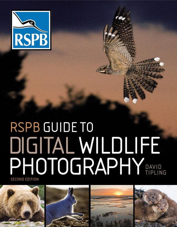 Produktbild: RSPB Guide to Digital Wildlife Photography