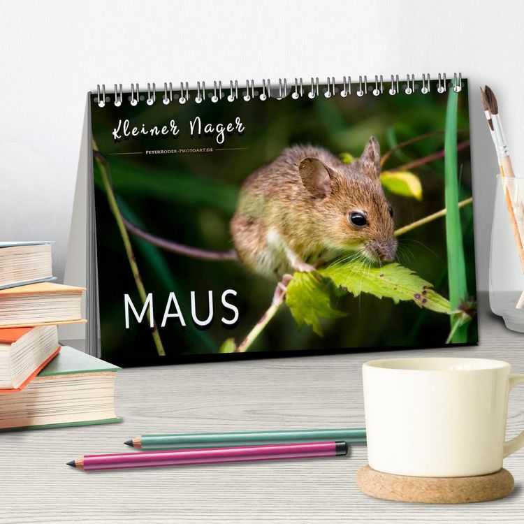 Produktbild: Kleiner Nager - Maus (Tischkalender 2026 DIN A5 quer), CALVENDO Monatskalender