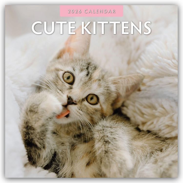Produktbild: Cute Kittens – Niedliche Kätzchen 2026 – 16-Monatskalender