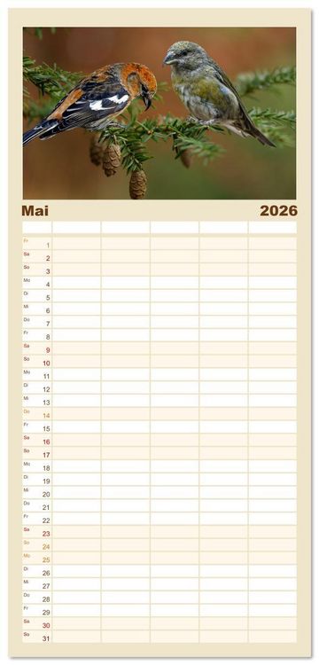 Produktbild: Familienplaner 2026 - Deutschlands Finken mit 5 Spalten (Wandkalender, 21 x 45 cm) CALVENDO