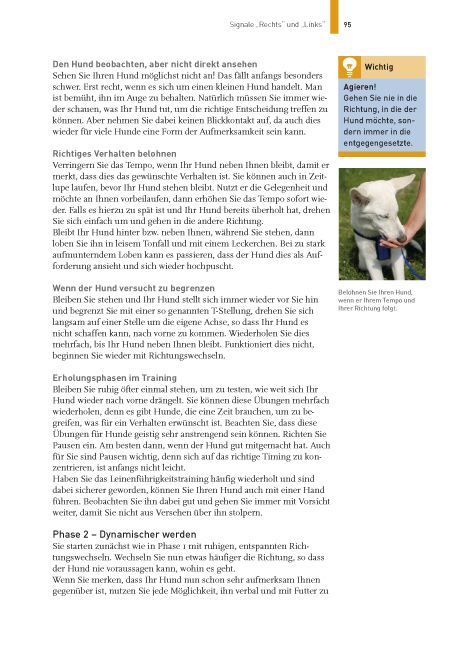 Produktbild: Hundetraining mit Martin R&uuml;tter