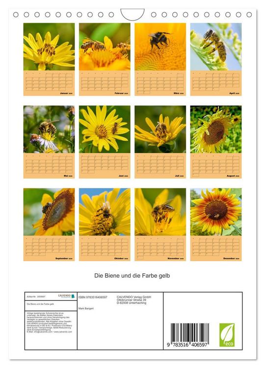 Produktbild: Die Biene und die Farbe gelb (Wandkalender 2026 DIN A4 hoch), CALVENDO Monatskalender