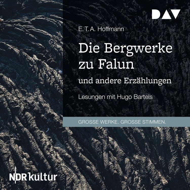Produktbild: Die Bergwerke zu Falun und andere Erz&auml;hlungen