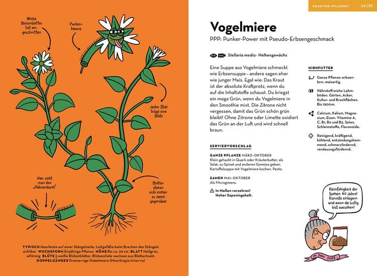 Produktbild: Wilde Pflanzen essen