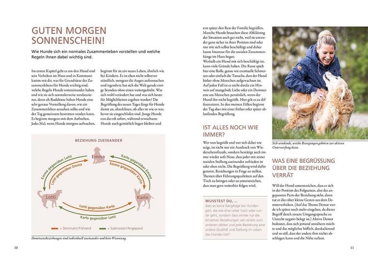 Produktbild: Hunde lesen lernen