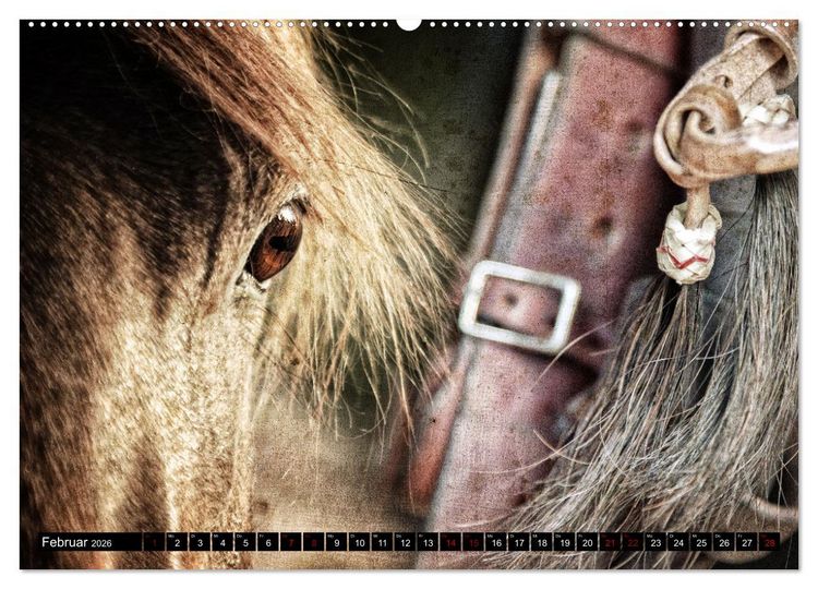 Produktbild: Magie Wilder Westen (Wandkalender 2026 DIN A2 quer), CALVENDO Monatskalender