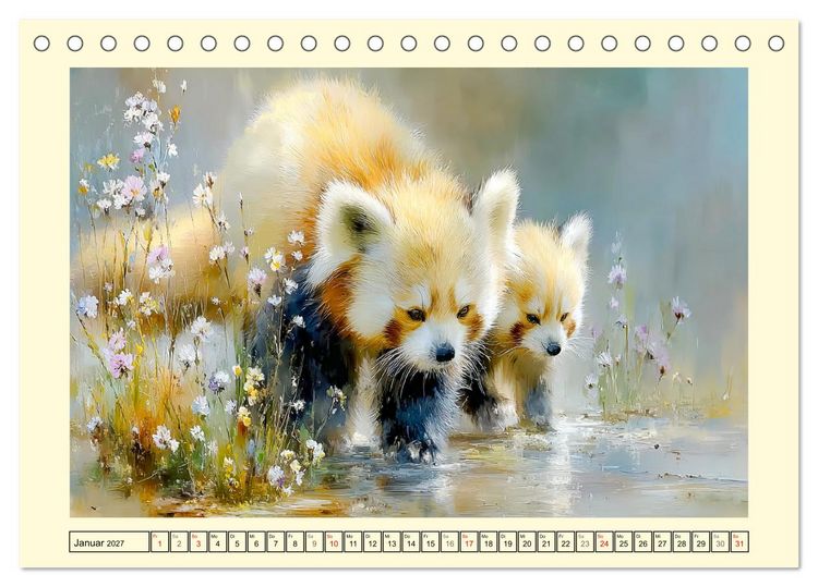 Produktbild: Rote Pandas. Kleine Abenteurer im sanften Waldlicht (Tischkalender 2027 DIN A5 quer), CALVENDO Monatskalender