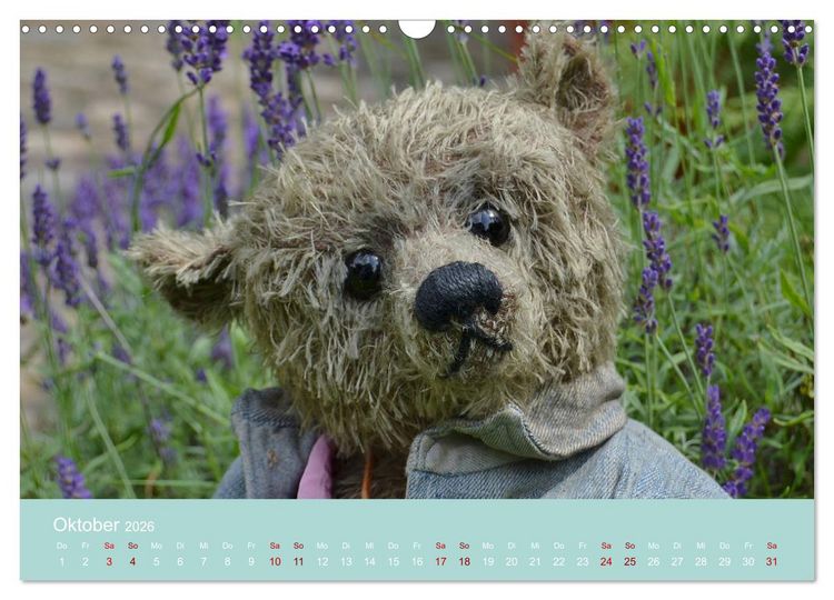 Produktbild: Robin der B&auml;r (Wandkalender 2026 DIN A3 quer), CALVENDO Monatskalender