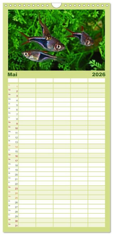 Produktbild: Familienplaner 2026 - Beliebte Fische der Welt mit 5 Spalten (Wandkalender, 21 x 45 cm) CALVENDO