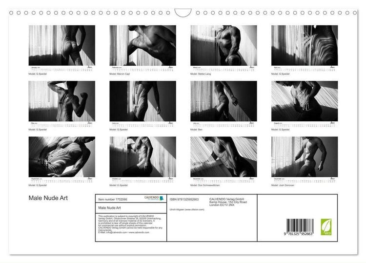 Male Nude Art (Wall Calendar 2025 DIN A3 landscape
