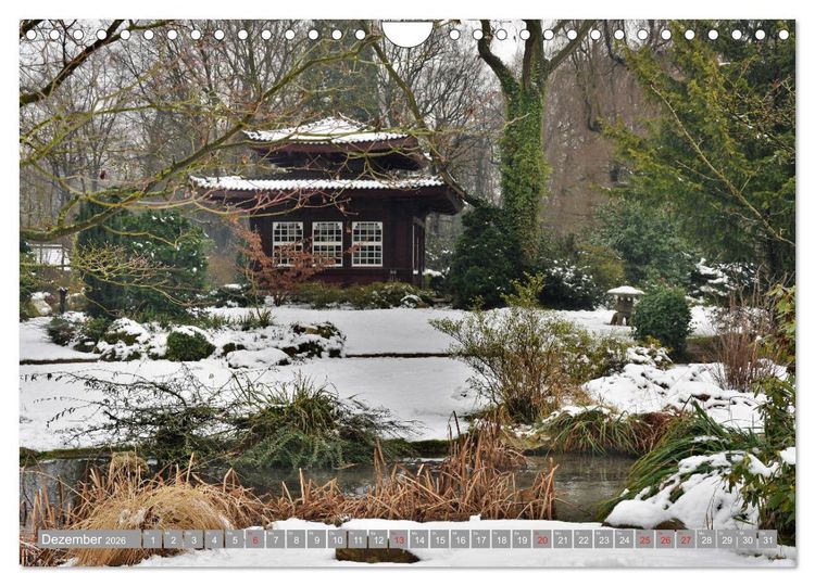Produktbild: Fern&ouml;stlicher Zauber Japanischer Garten Leverkusen (Wandkalender 2026 DIN A4 quer), CALVENDO Monatskalender
