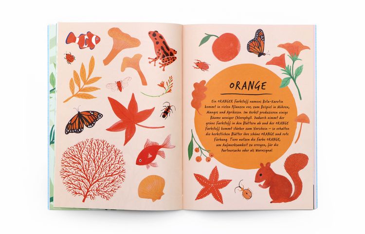 Produktbild: Zeichne wie die Natur: Farben