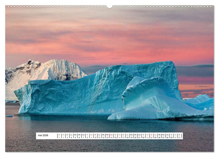 Produktbild: L'Antarctique magique (Calendrier mural 2026 DIN A2 vertical), CALVENDO calendrier mensuel