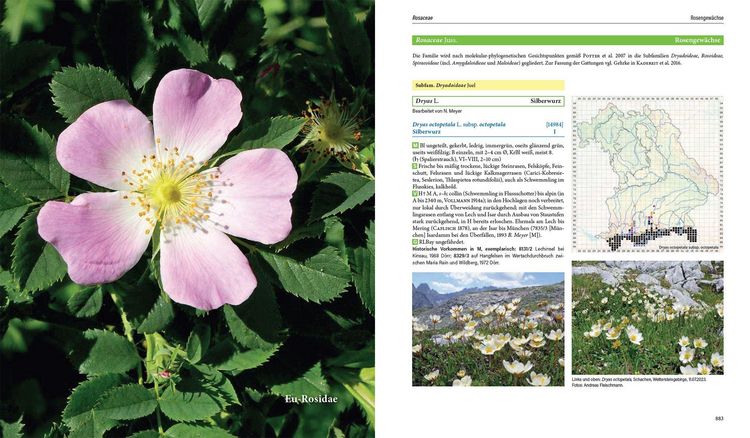 Produktbild: Flora von Bayern
