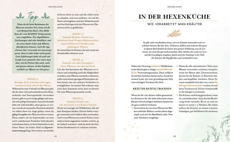 Produktbild: Zaubernuss und Waldmagie &ndash; Naturmomente f&uuml;r deine Seele