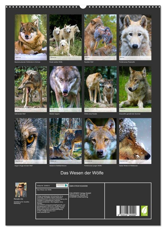 Produktbild: Das Wesen der W&ouml;lfe (hochwertiger Premium Wandkalender 2026 DIN A2 hoch), Kunstdruck in Hochglanz