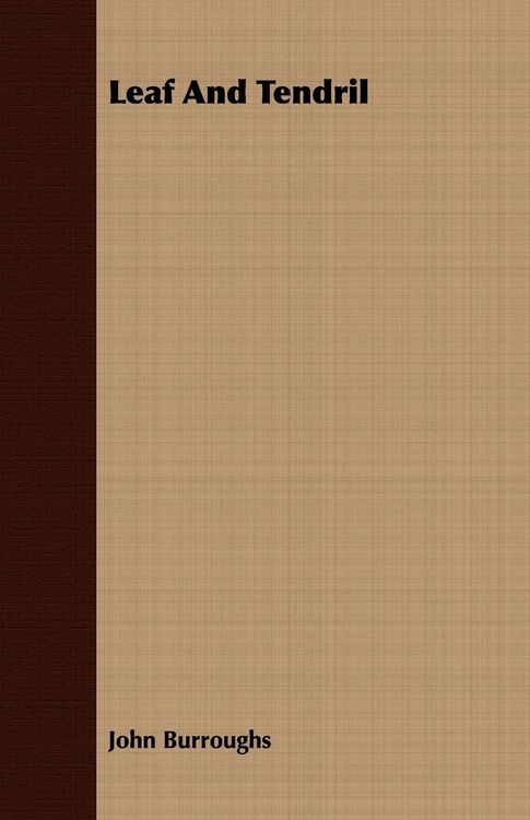 Produktbild: Leaf and Tendril