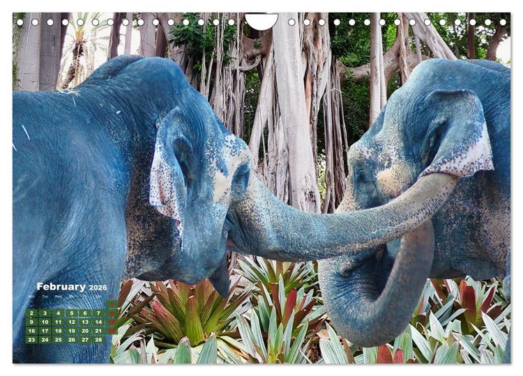 Produktbild: Gentle giants in the jungle (Wall Calendar 2026 DIN A4 landscape), CALVENDO 12 Month Wall Calendar