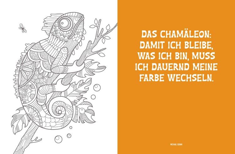 Produktbild: Colorful Mandala &ndash; Mandala &ndash; Dschungeltiere
