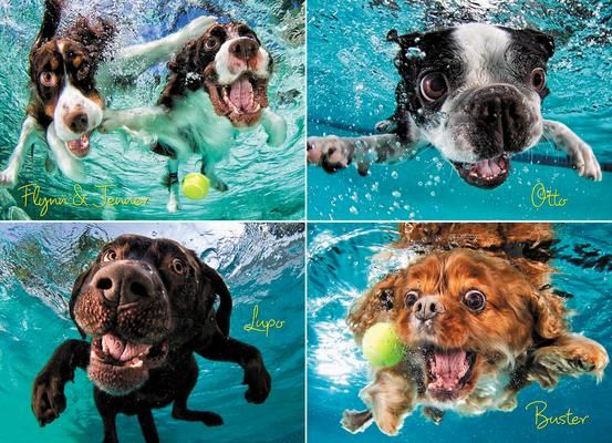 Produktbild: Underwater Dogs: Ruff Water 1000-Piece Puzzle