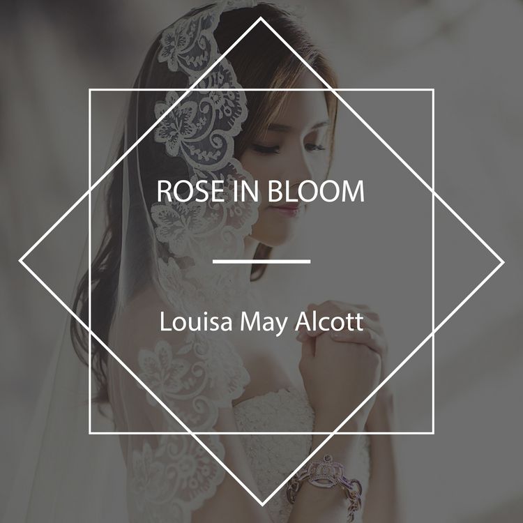 Produktbild: Rose in Bloom