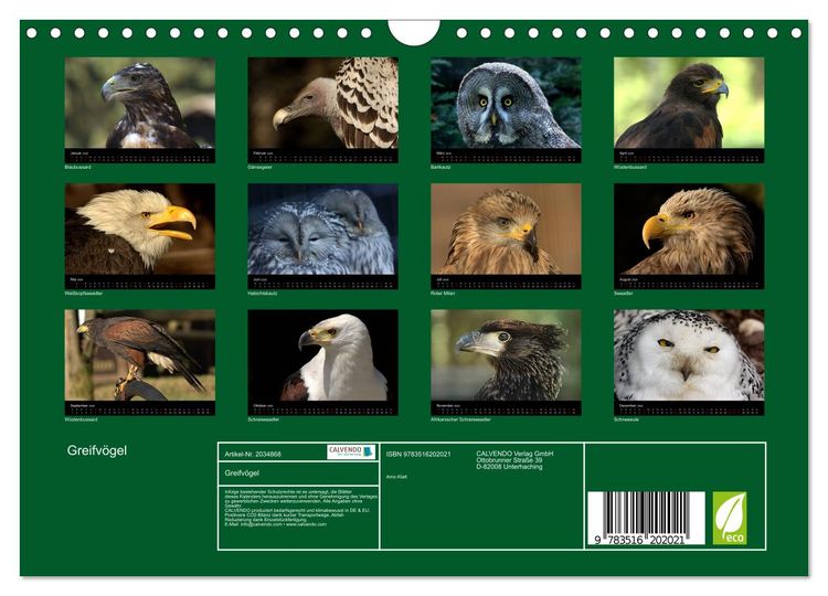 Produktbild: Greifv&ouml;gel (Wandkalender 2026 DIN A4 quer), CALVENDO Monatskalender