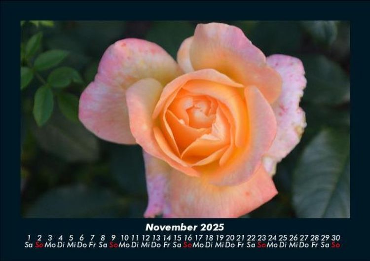 Produktbild: Blumenkalender 2025 Fotokalender DIN A5