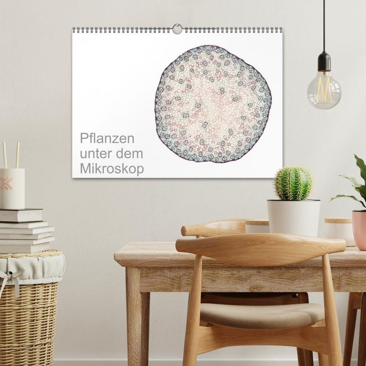 Produktbild: Pflanzen unter dem Mikroskop (Wandkalender 2026 DIN A3 quer), CALVENDO Monatskalender