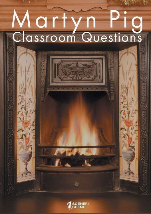 Produktbild: Martyn Pig Classroom Questions