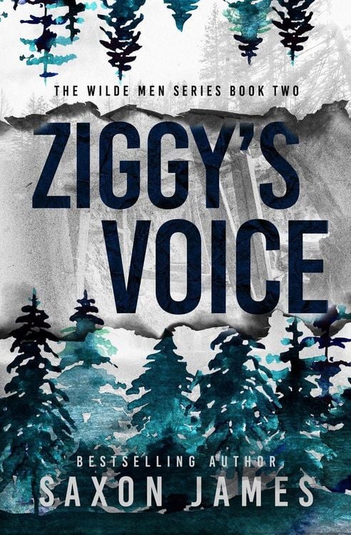Produktbild: Ziggy's Voice