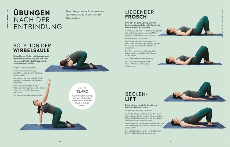 Produktbild: Fit bleiben in der Schwangerschaft