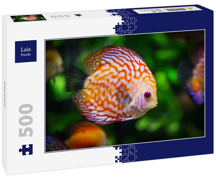 Produktbild: Lais Puzzle Diskusfisch 500 Teile