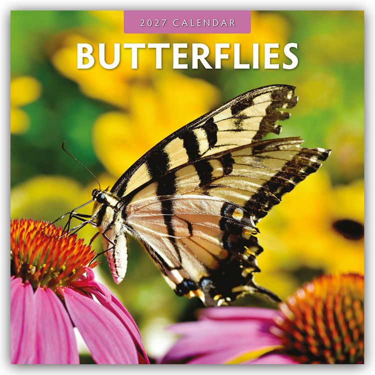 Produktbild: Butterflies &ndash; Schmetterlinge 2027 &ndash; 16-Monatskalender