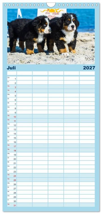 Produktbild: Familienplaner 2027 - Seeb&auml;rchen entdecken die Welt - Berner Sennenhunde mit 5 Spalten (Wandkalender, 21 x 45 cm) CALVENDO
