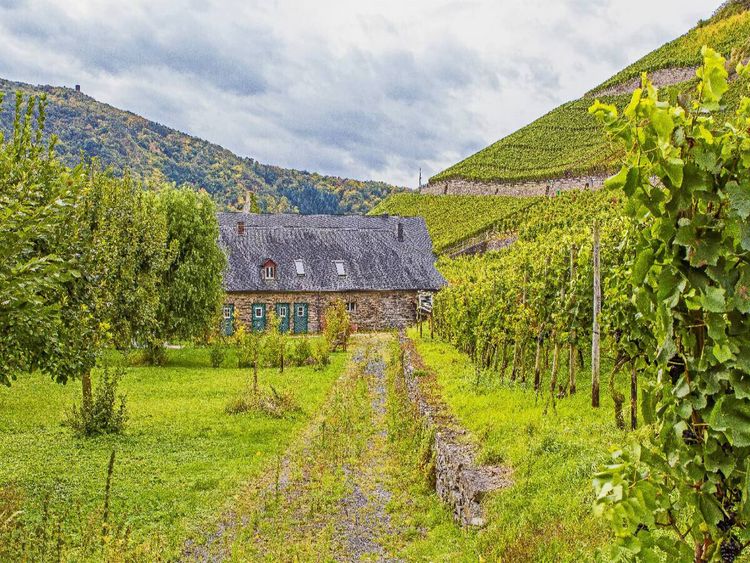 Produktbild: CALVENDO Puzzle Weingut im Ahrtal | 1000 Teile Lege-Gr&ouml;&szlig;e 64x48cm Foto-Puzzle f&uuml;r gl&uuml;ckliche Stunden
