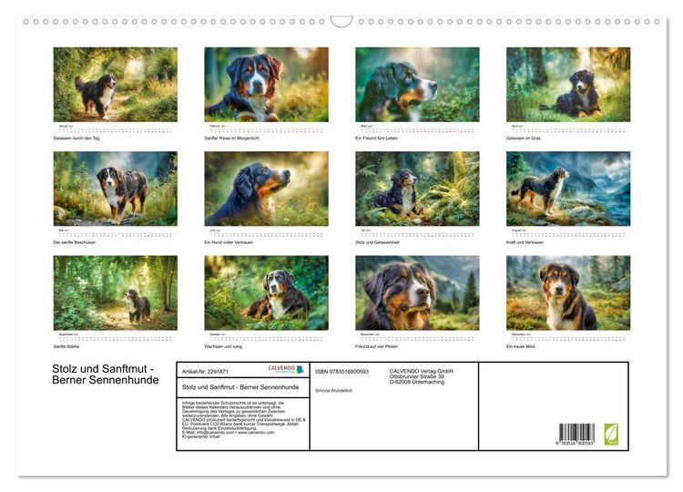 Produktbild: Stolz und Sanftmut - Berner Sennenhunde (Wandkalender 2027 DIN A2 quer), CALVENDO Monatskalender