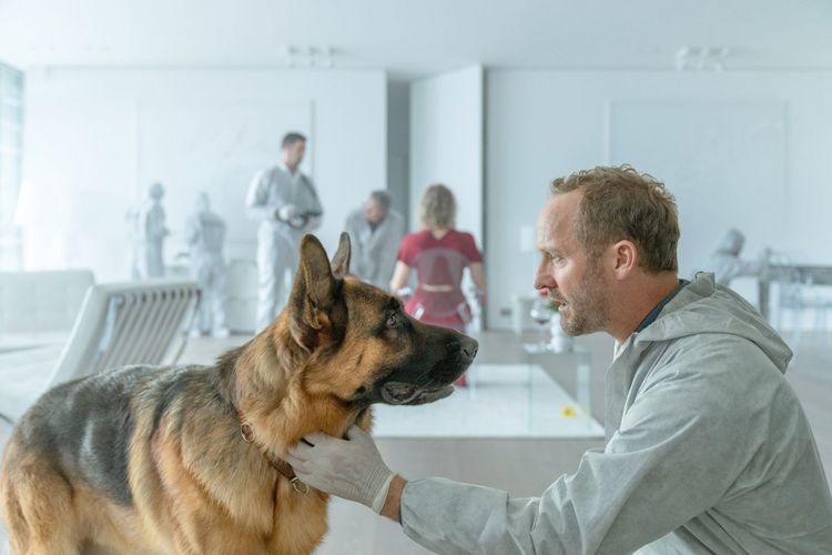 Produktbild: Kommissar Rex (2026) - Die komplette 1. Staffel [2 BRs]