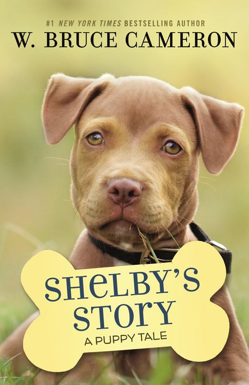 Produktbild: Shelby's Story