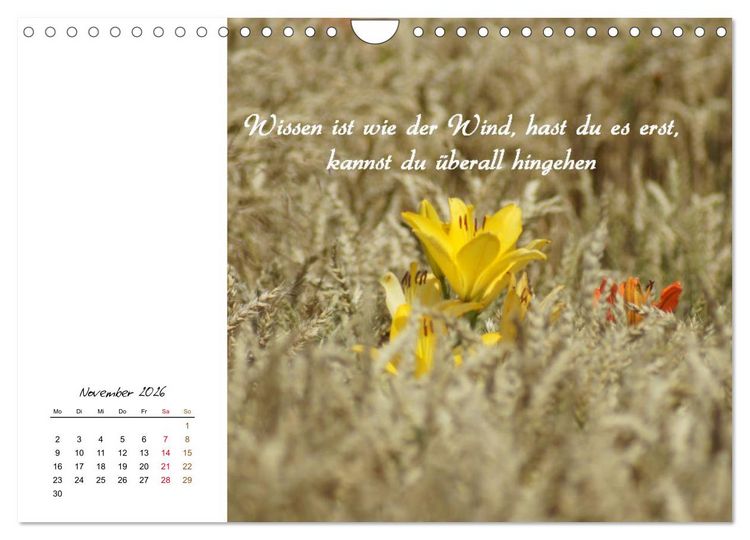 Produktbild: Innehalten in der Natur ... mit Weisheiten und Sprichworten der Indianer (Wandkalender 2026 DIN A4 quer), CALVENDO Monatskalender